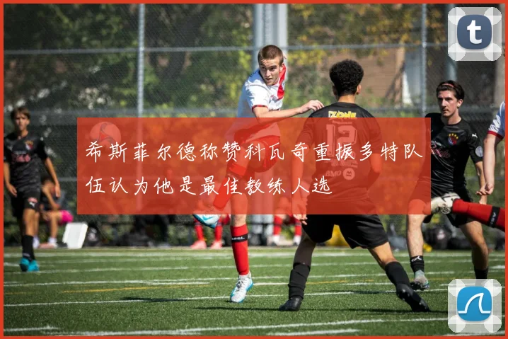 希斯菲尔德称赞科瓦奇重振多特队伍认为他是最佳教练人选
